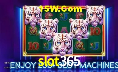 A Experiência Imersiva dos Cassinos Ao Vivo no slot365